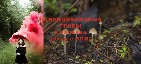 гашик Заволжье