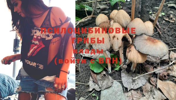 гашик Заволжье